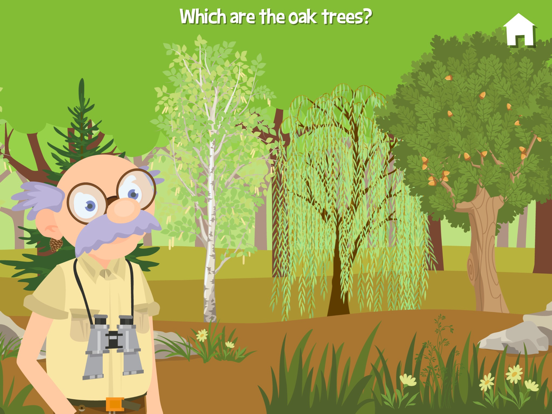 Grandpa asks which trees are oaks along a green woodland trail.